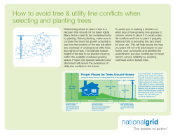 How to avoid tree &amp; utility line conflicts when