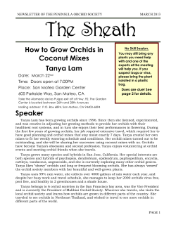 The Sheath  How to Grow Orchids in Coconut Mixes