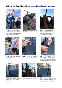 Setting up Gym Rings from  www.danbakerstrength.com