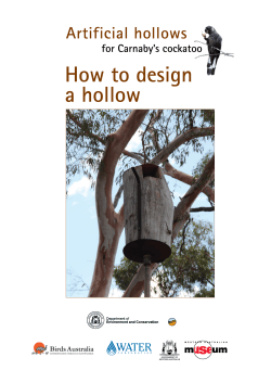 How to design a hollow  Artificial hollows