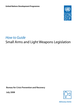 How to Guide Small Arms and Light Weapons Legislation July 2008