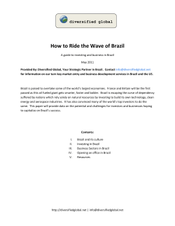 How to Ride the Wave of Brazil diversified global