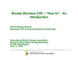 Woody Biomass CHP – “How to”:  An Introduction