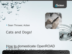 Cats and Dogs! How to domesticate OpenROAD list-handling to obey your every