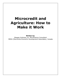 Microcredit and Agriculture: How to Make it Work