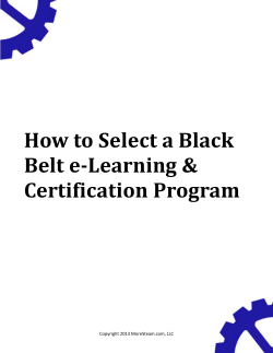 How to Select a Black Belt e-Learning &amp; Certification Program