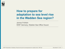 How to prepare for adaptation to sea level rise Jannes Fröhlich