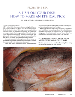 B A FISH oN YoUR DISH: How to MAKe AN etHIcAL PIcK