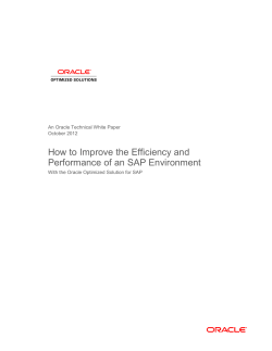 How to Improve the Efficiency and Performance of an SAP Environment