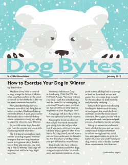 How to Exercise Your Dog in Winter WVESSA Newsletter January 2012