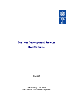 Business Development Services How To Guide July 2004