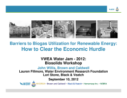 How to Clear the Economic Hurdle VWEA Water Jam - 2012: