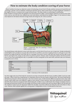 How to estimate the body condition scoring of your horse