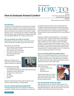 HOW-TO How to Evaluate Animal Comfort Pork Production