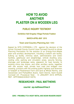 HOW TO AVOID ANOTHER PLASTER ON A WOODEN LEG