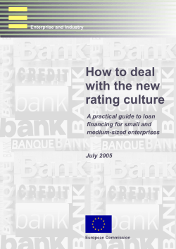 How to deal with the new rating culture A practical guide to loan