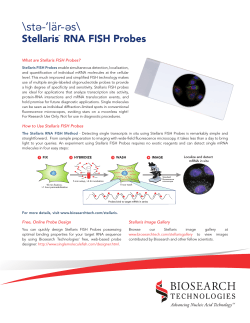 What are Stellaris FISH Probes?
