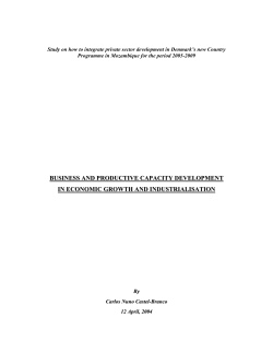Study on how to integrate private sector development in Denmark’s... Programme in Mozambique for the period 2005-2009