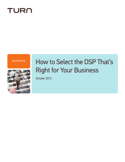 How to Select the DSP That’s Right for Your Business October 2013
