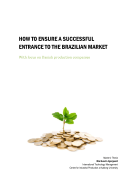 HOW TO ENSURE A SUCCESSFUL ENTRANCE TO THE BRAZILIAN MARKET