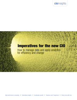 Imperatives for the new CIO cio for efficiency and change