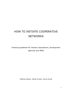 HOW TO INITIATE COOPERATIVE NETWORKS  Practical guidelines for industry associations, development