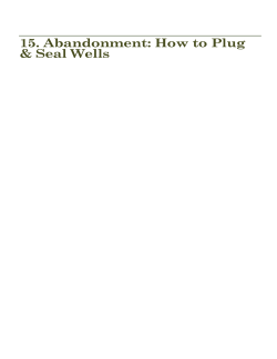 15. Abandonment: How to Plug &amp; Seal Wells