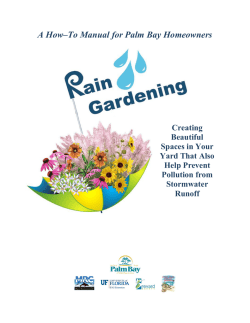 A How&ndash;To Manual for Palm Bay Homeowners  Creating Beautiful