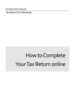 How to Complete Your Tax Return online Tax Return for Individuals