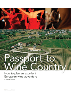 Passport to Wine Country How to plan an excellent European wine adventure