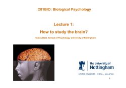 Lecture 1: How to study the brain? C81BIO: Biological Psychology
