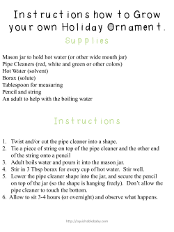 Instructions how to Grow your own Holiday Ornament. Supplies