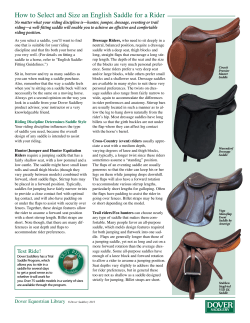 How to Select and Size an English Saddle for a...