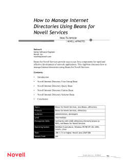 How to Manage Internet Directories Using Beans for Novell Services How-To Article