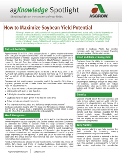 How to Maximize Soybean Yield Potential