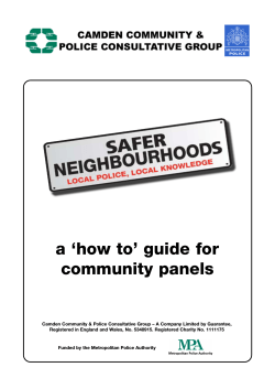 a ‘how to’ guide for community panels