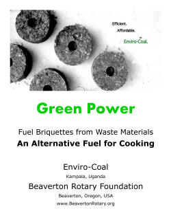 Green Power An Alternative Fuel for Cooking  Enviro-Coal