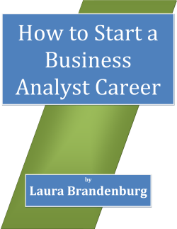 How to Start a Business Analyst Career Laura Brandenburg