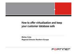 How to offer virtualization and keep your customer database safe Matias Cuba R