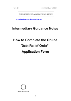 Intermediary Guidance Notes How to Complete the Online Application Form