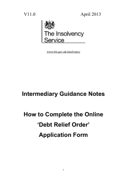 Intermediary Guidance Notes How to Complete the Online ‘Debt Relief Order’