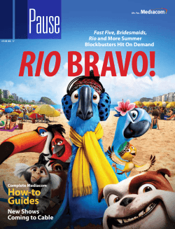 RIO How-to Guides