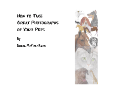 How to Take Great Photographs of Your Pets By