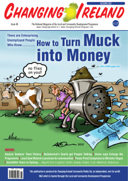 Muck into Money Turn How to