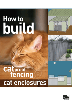 build cat How to fencing