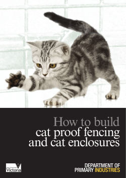 How to build cat proof fencing and cat enclosures