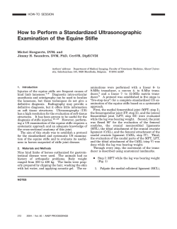 How to Perform a Standardized Ultrasonographic Examination of the Equine Stifle