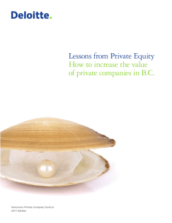Lessons from Private Equity  How to increase the value