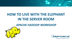 HOW TO LIVE WITH THE ELEPHANT IN THE SERVER ROOM