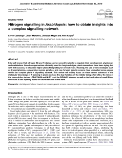 Nitrogen signalling in Arabidopsis: how to obtain insights into REVIEW PAPER